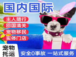 丹东浪头机场快递国际宠物托运 【国